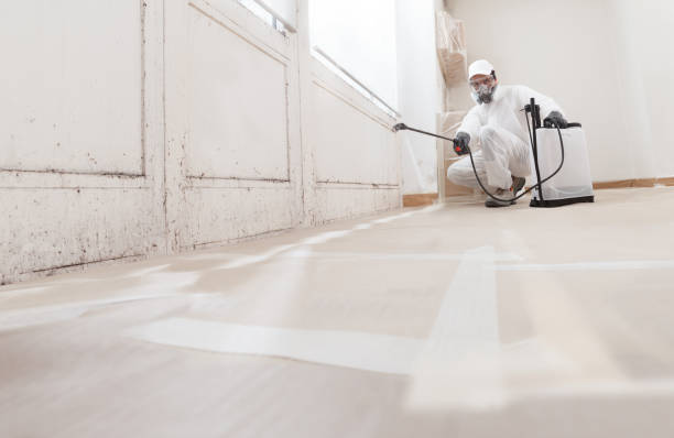 24/7 Emergency Basement Mold Removal experts in Downingtown, PA
