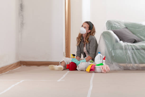 Reliable Basement Mold Removal contractor in Downingtown, PA by WQB Mold Removal